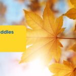 Autumn Riddles
