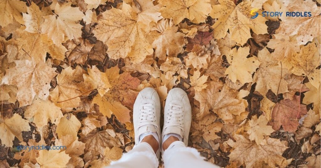 20 Fun Autumn Riddles to Spark Creativity and Laughter with Family and Friends 3 Engaging Autumn Riddles for All Ages