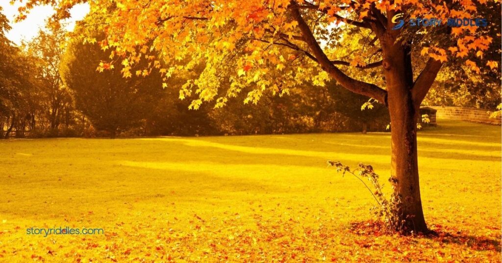 Environmental Benefits of Trees in Autumn