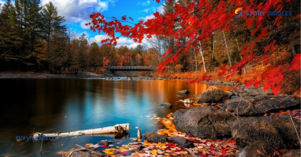 20 Fun Autumn Riddles to Spark Creativity and Laughter with Family and Friends 4 How to Create Your Own Autumn Riddles