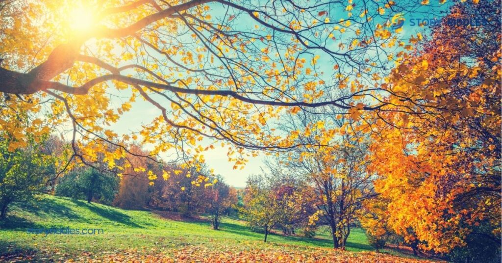 20 Fun Autumn Riddles to Spark Creativity and Laughter with Family and Friends 1 The Charm of Autumn Riddles