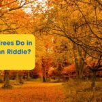 What Do Trees Do in the Autumn Riddle